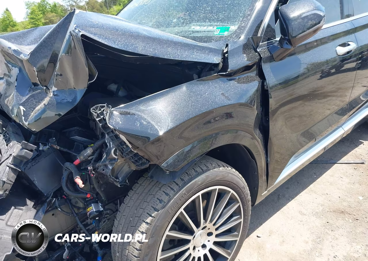 2021 Hyundai Palisade Calligraphy VIN:KM8R7DHE7MU195342 - 6