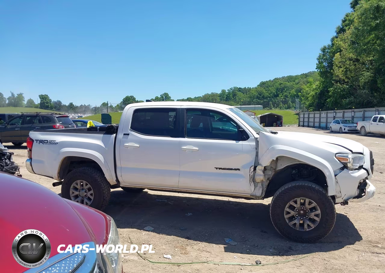 2019 Toyota Tacoma Sr5 V6 VIN:3TMAZ5CN5KM089756 - 13