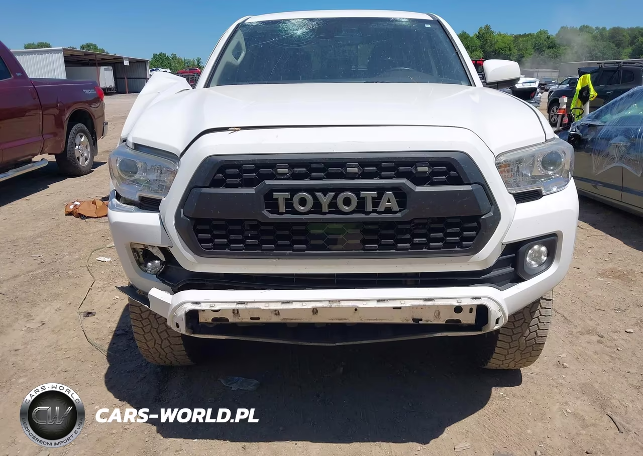 2019 Toyota Tacoma Sr5 V6 VIN:3TMAZ5CN5KM089756 - 17
