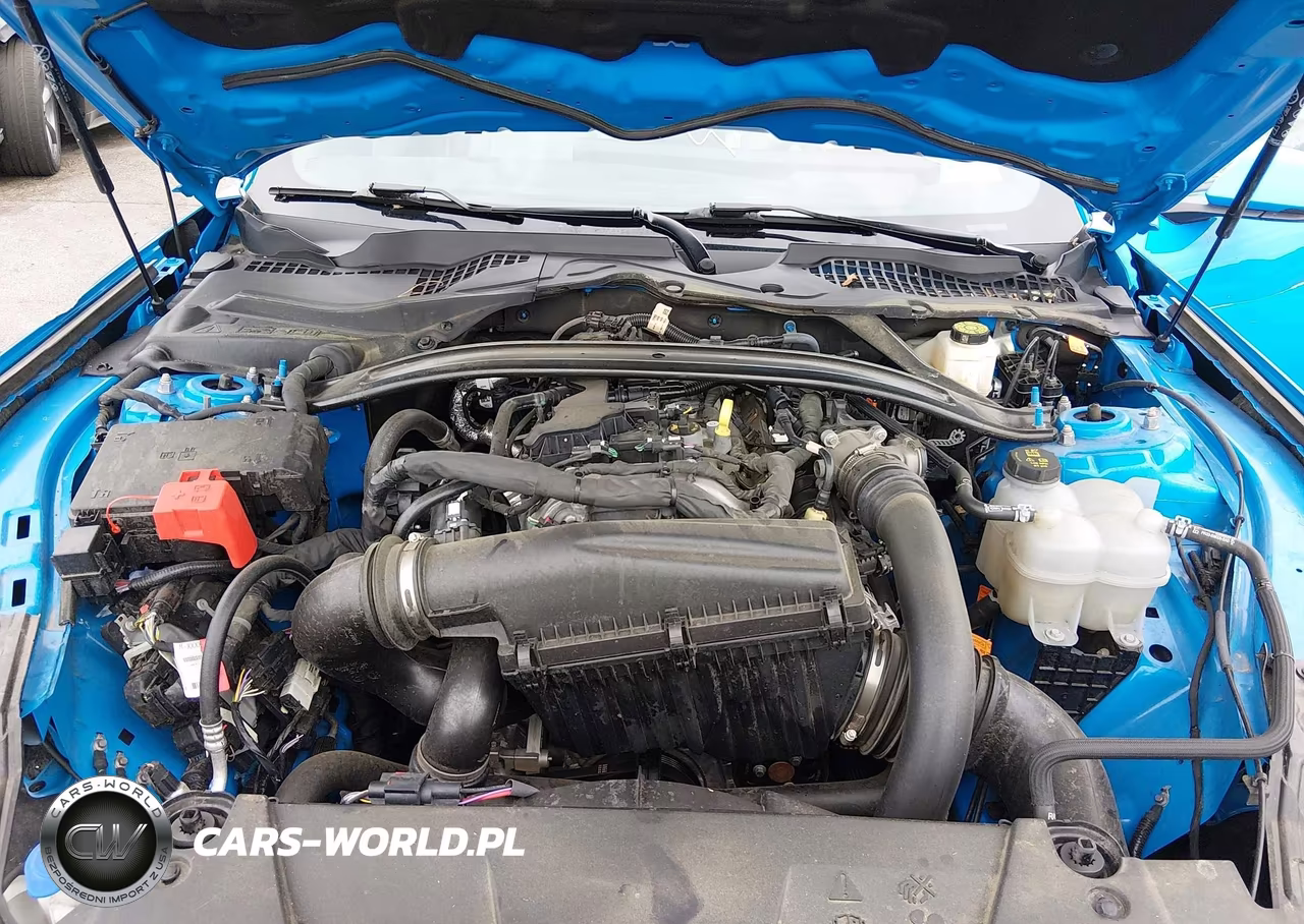 2024 Ford Mustang Ecoboost Premium VIN:1FAGP8UH5R5145422 - 10
