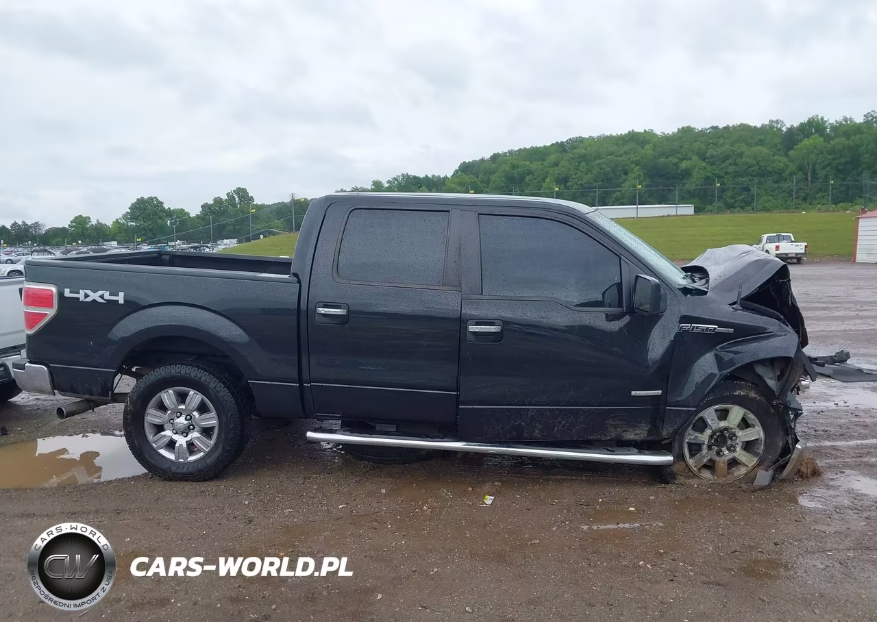 2011 Ford F-150 Xlt VIN:1FTFW1ET7BFB76397 - 13