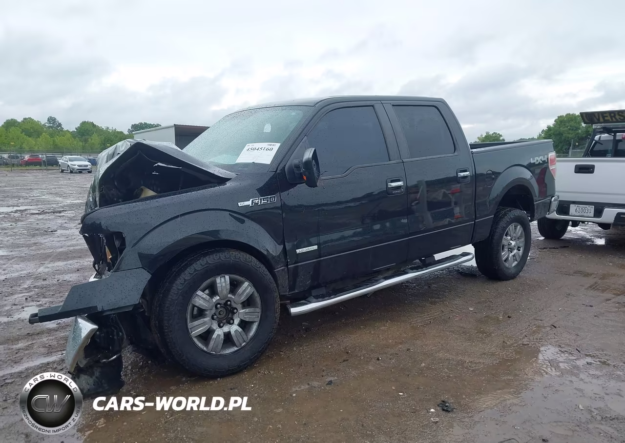 2011 Ford F-150 Xlt VIN:1FTFW1ET7BFB76397 - 2