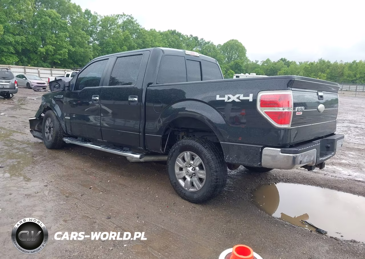 2011 Ford F-150 Xlt VIN:1FTFW1ET7BFB76397 - 3