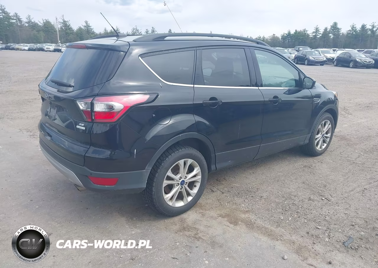 2017 Ford Escape Se VIN:1FMCU0GD8HUC09707 - 4
