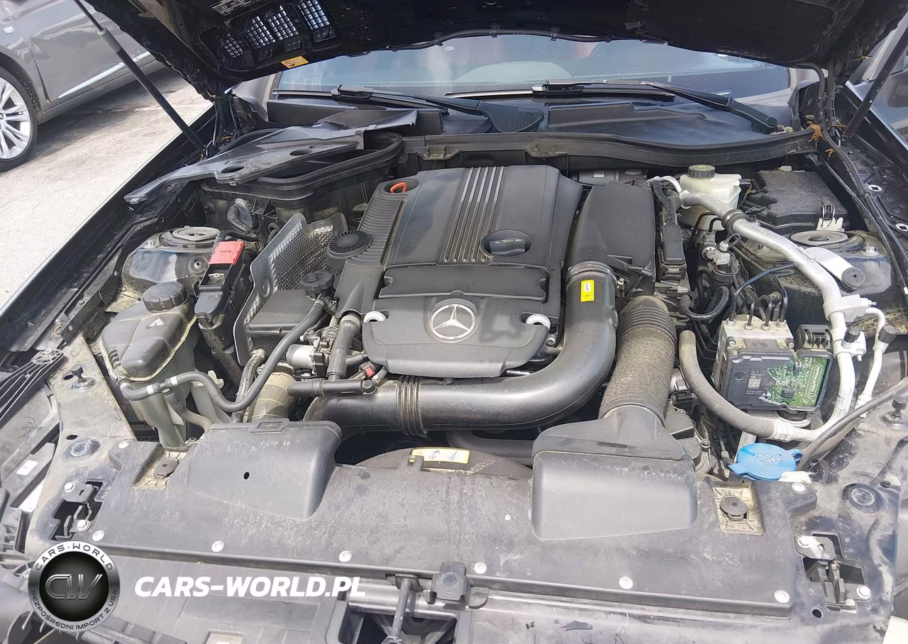 2014 Mercedes-Benz Slk 250 VIN:WDDPK4HA0EF080486 - 10