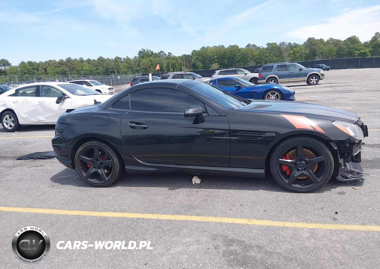 2014 Mercedes-Benz Slk 250 VIN:WDDPK4HA0EF080486 - 14