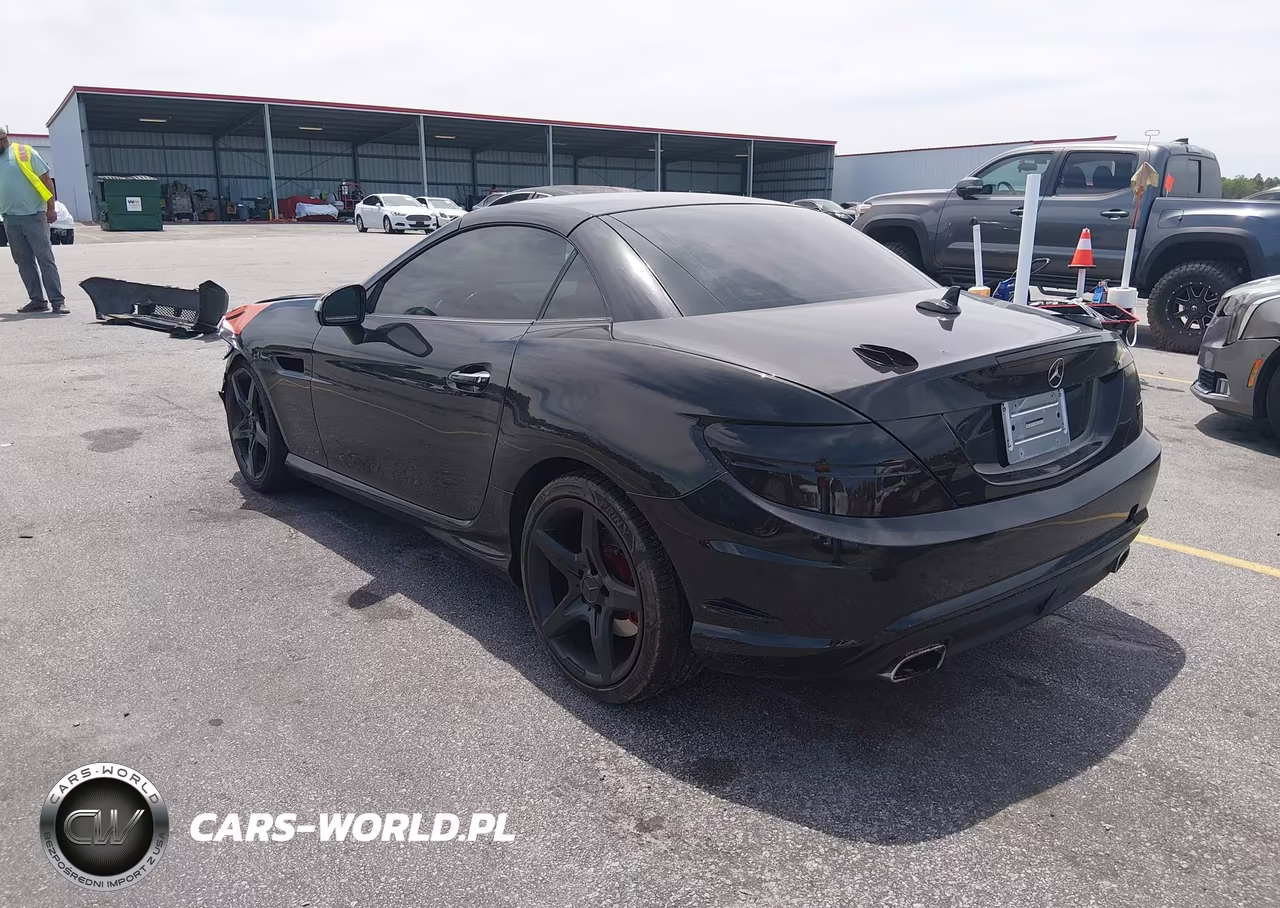 2014 Mercedes-Benz Slk 250 VIN:WDDPK4HA0EF080486 - 3
