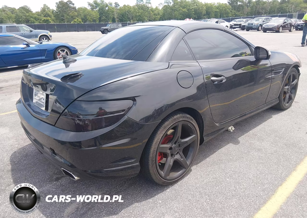 2014 Mercedes-Benz Slk 250 VIN:WDDPK4HA0EF080486 - 4