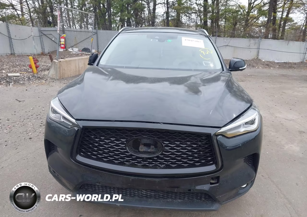 2019 Infiniti Qx50 Essential VIN:3PCAJ5M12KF122879 - 12