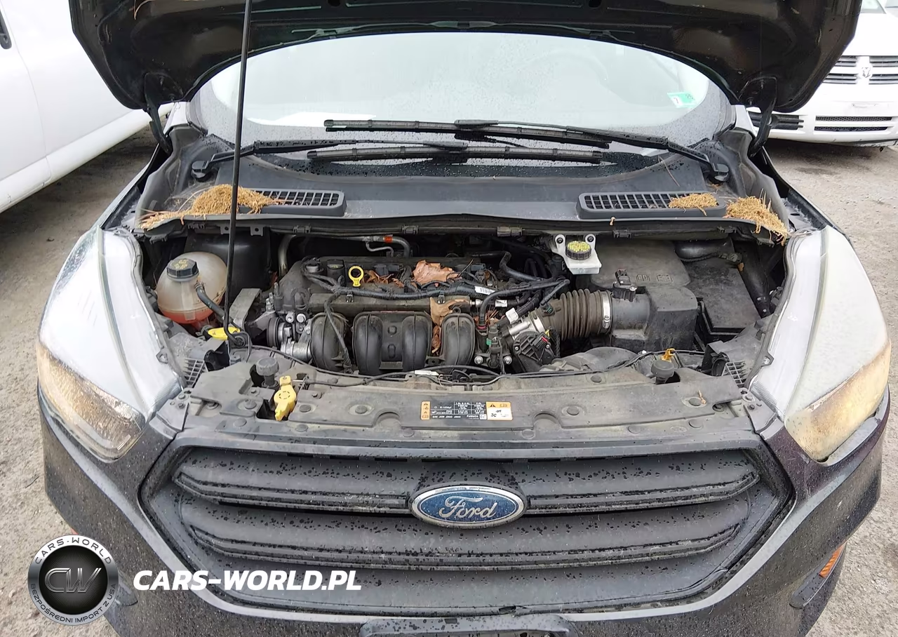 2018 Ford Escape S VIN:1FMCU0F77JUB05789 - 10