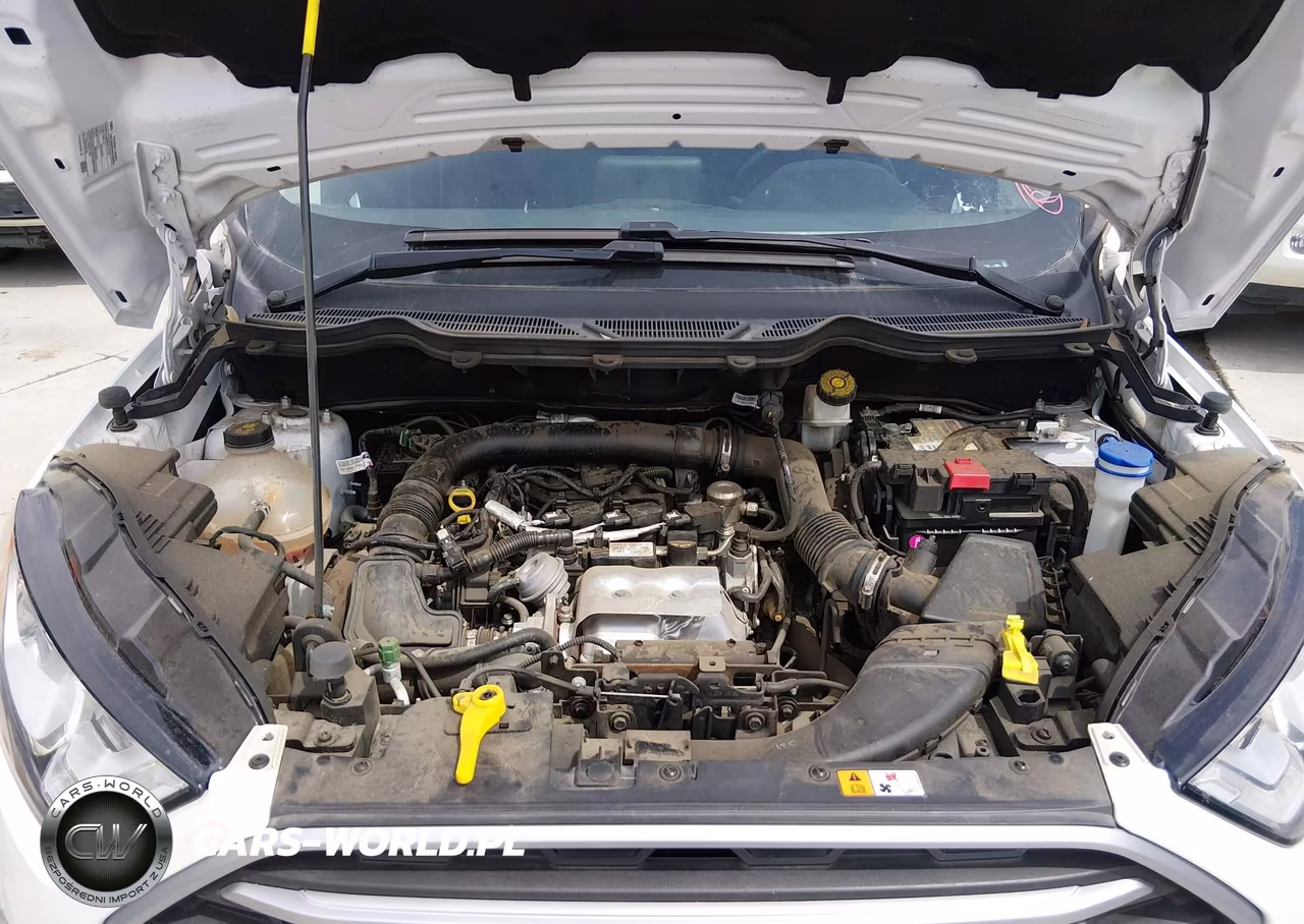 2019 Ford Ecosport Se VIN:MAJ3S2GE6KC274413 - 10