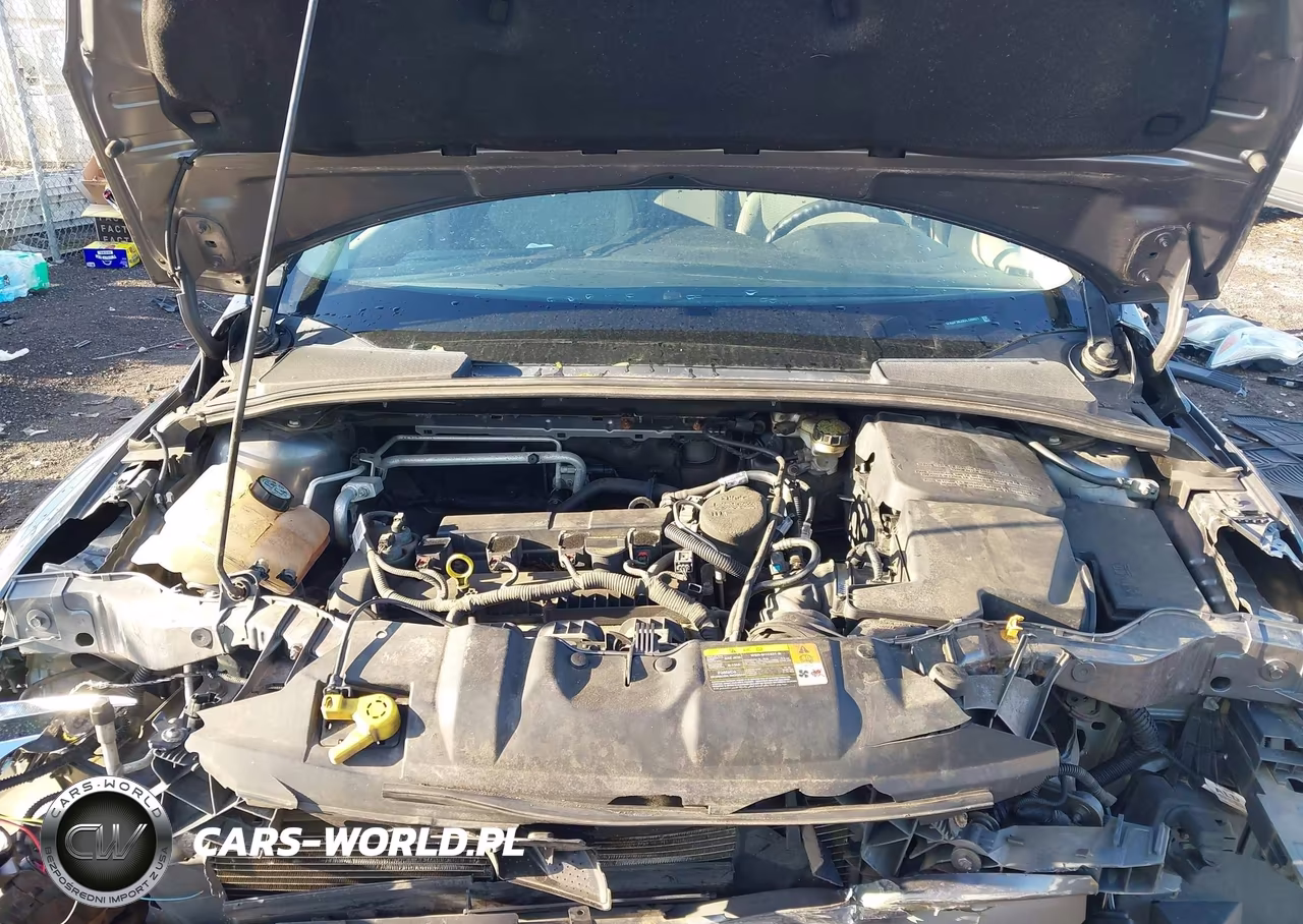 2013 Ford Focus Se VIN:1FADP3K29DL120421 - 10
