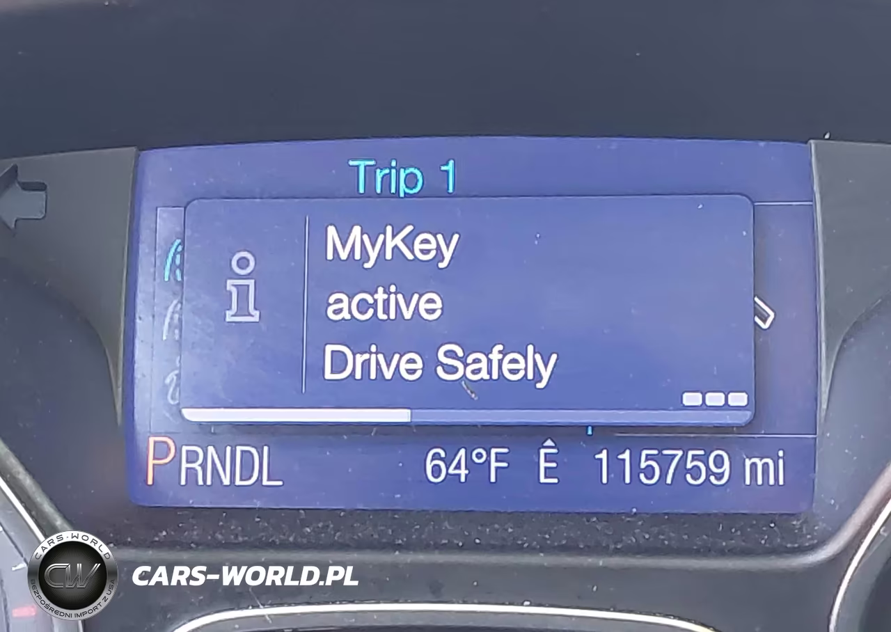 2013 Ford Focus Se VIN:1FADP3K29DL120421 - 16