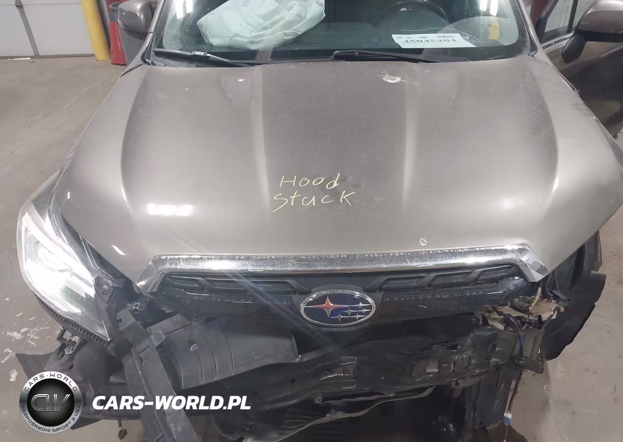 2017 Subaru Forester 2.0Xt Touring VIN:JF2SJGTC7HH439263 - 10
