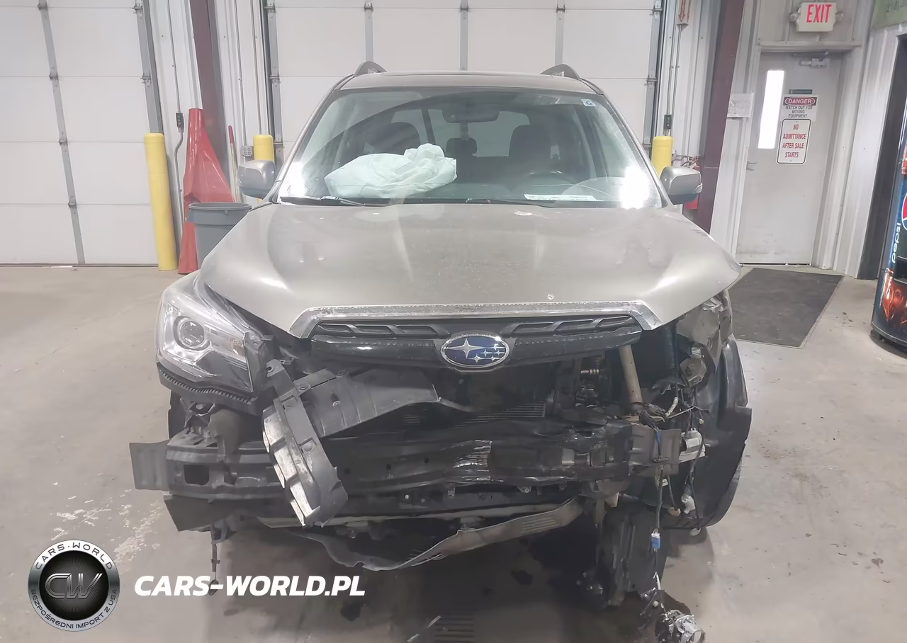 2017 Subaru Forester 2.0Xt Touring VIN:JF2SJGTC7HH439263 - 12