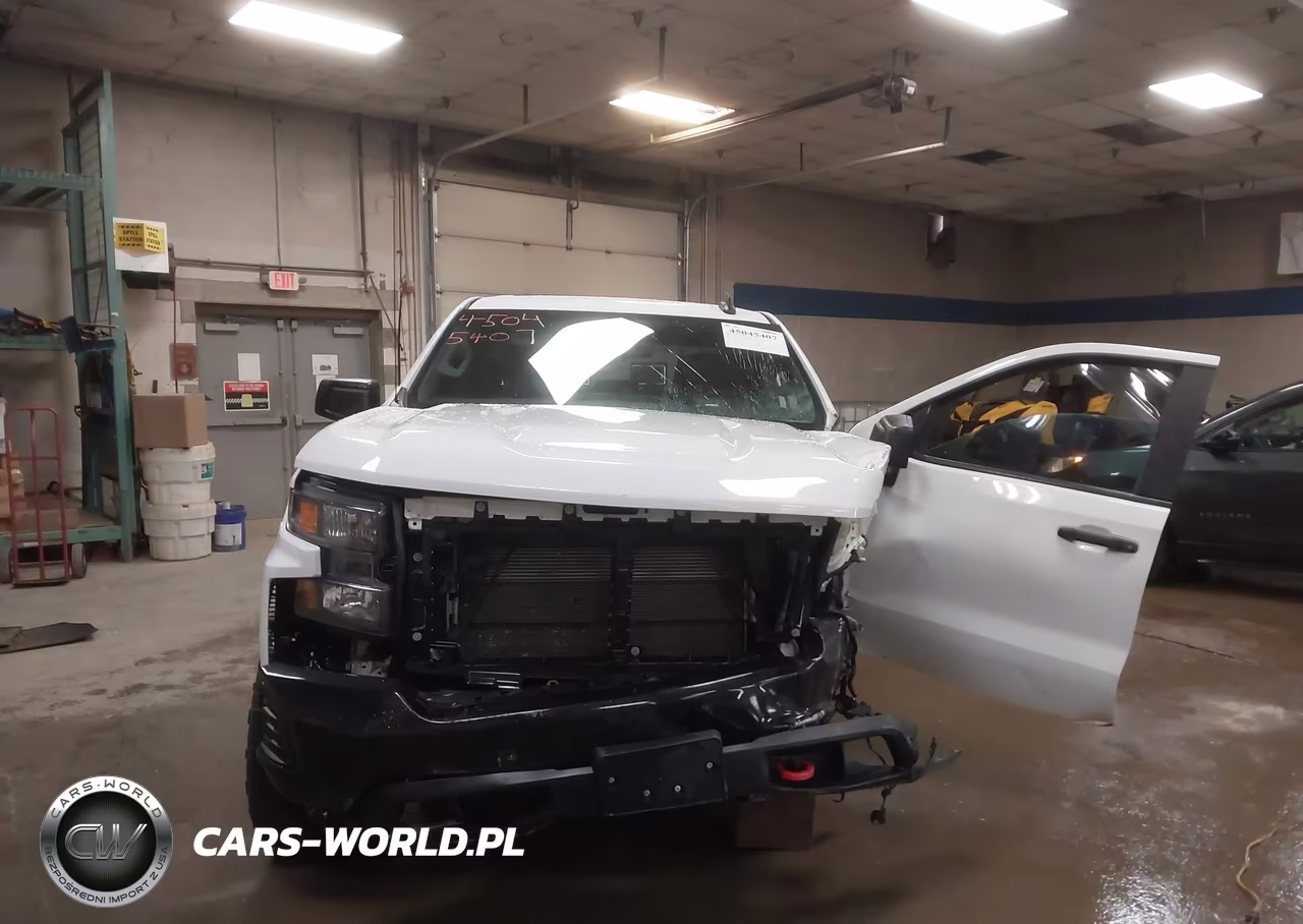 2019 Chevrolet Silverado 1500 Custom Trail Boss VIN:3GCPYCEFXKG181032 - 12