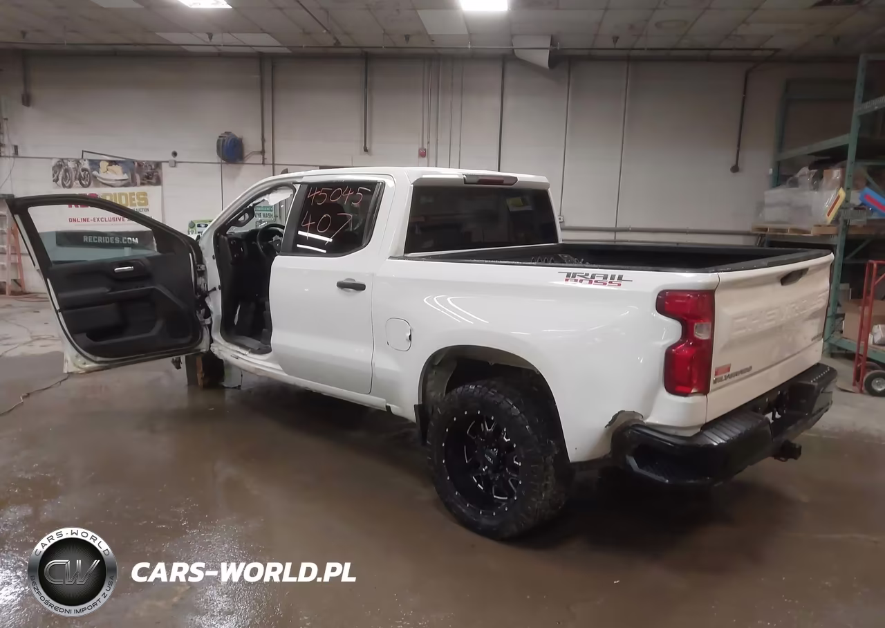 2019 Chevrolet Silverado 1500 Custom Trail Boss VIN:3GCPYCEFXKG181032 - 3