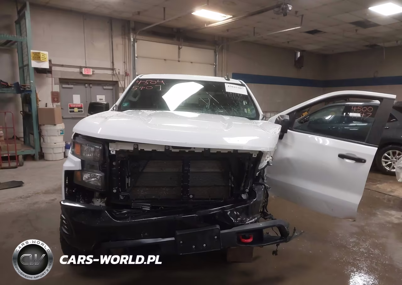 2019 Chevrolet Silverado 1500 Custom Trail Boss VIN:3GCPYCEFXKG181032 - 6