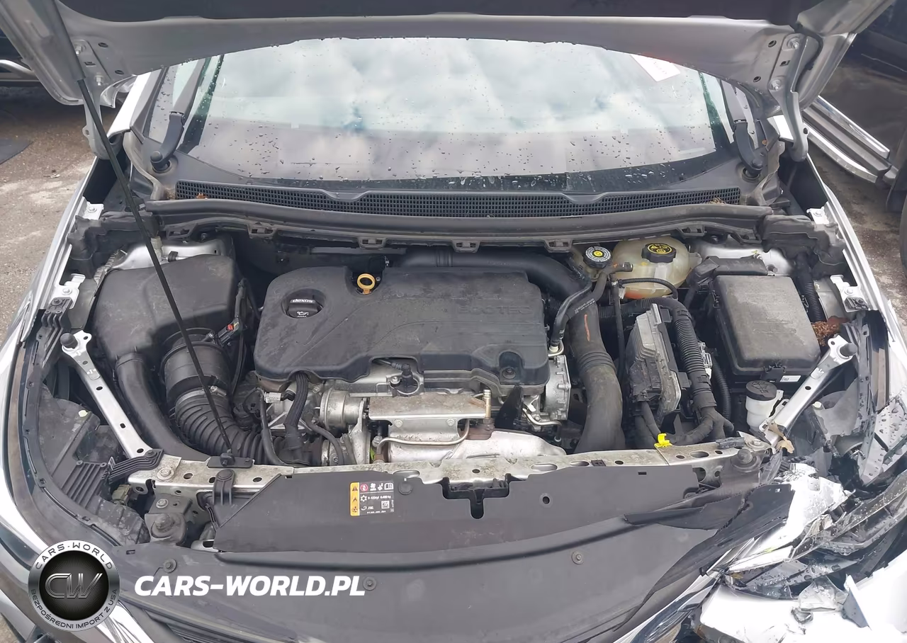 2019 Chevrolet Cruze Lt VIN:1G1BE5SM8K7102303 - 10