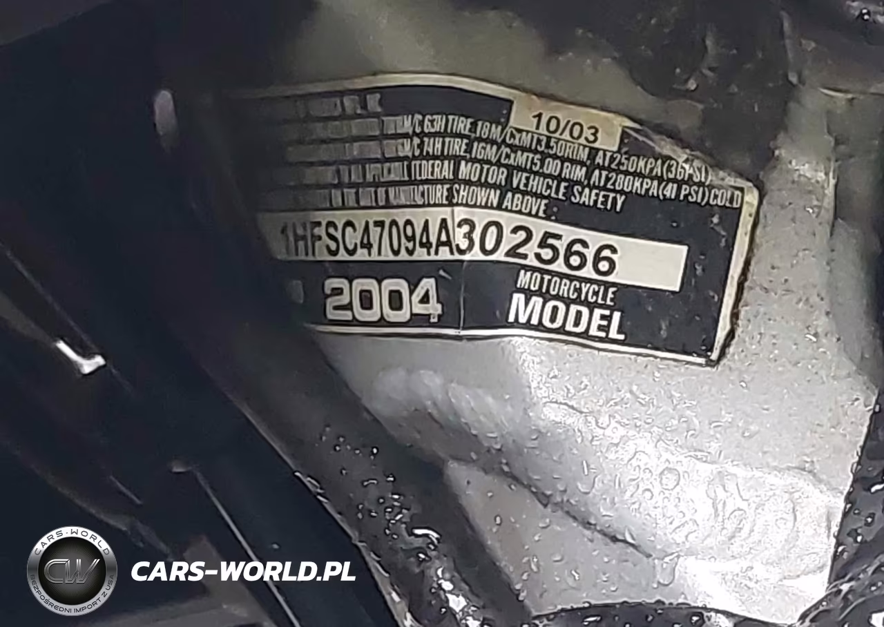 2004 Honda Gl1800 VIN:1HFSC47094A302566 - 10