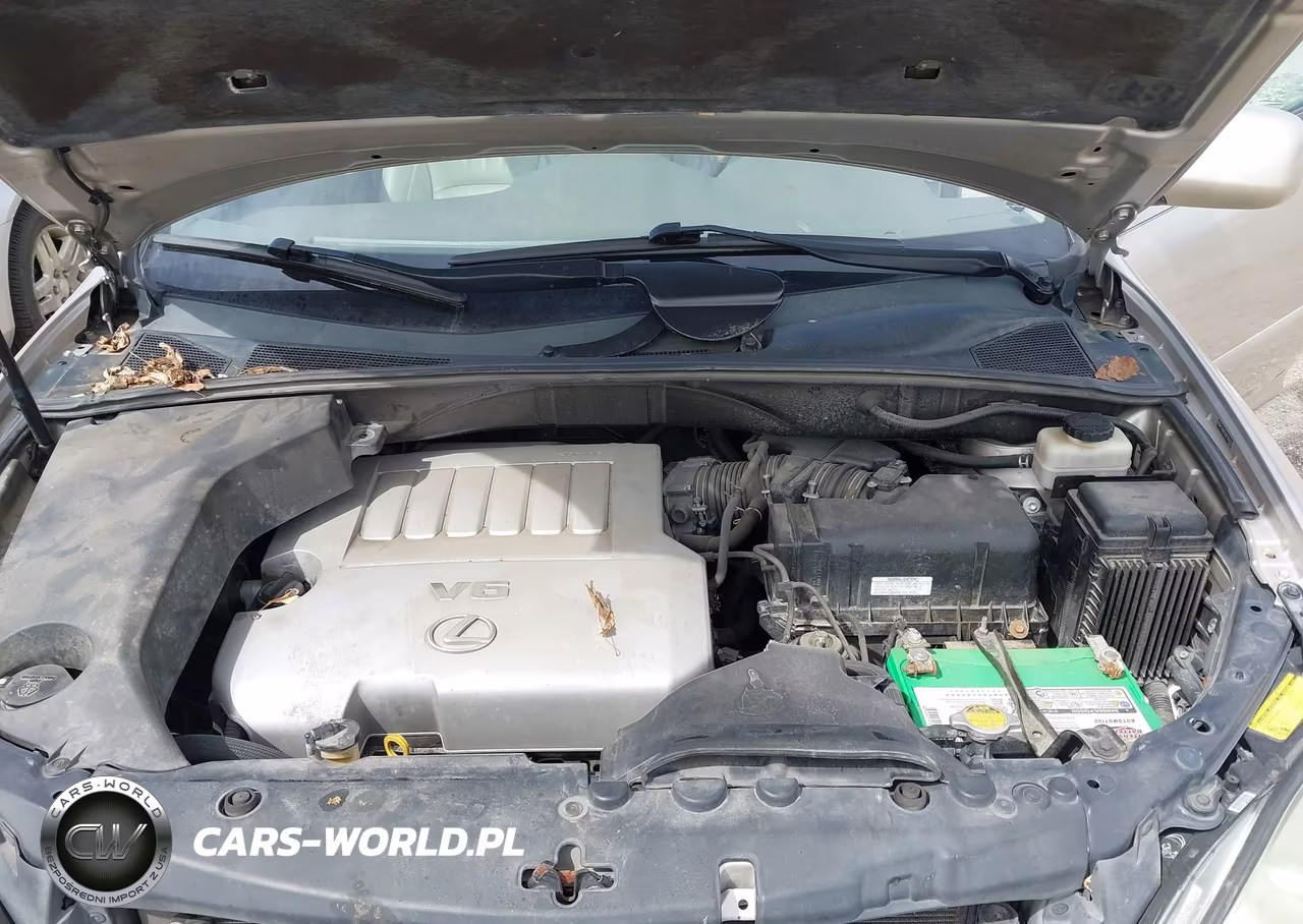 2007 Lexus Rx 350 VIN:2T2HK31U07C005307 - 10