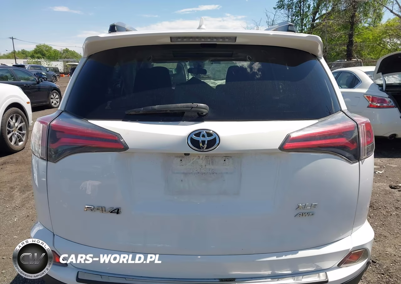 2017 Toyota Rav4 Xle VIN:JTMRFREV1HJ700503 - 16