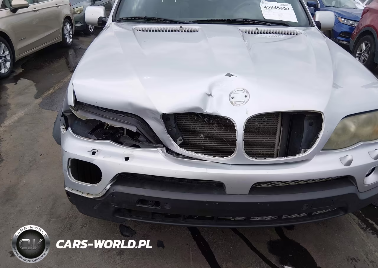 2006 BMW X5 4.4I VIN:5UXFB53556LV29099 - 6