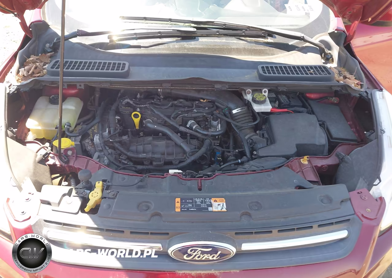 2014 Ford Escape Se VIN:1FMCU0GX4EUC27109 - 10