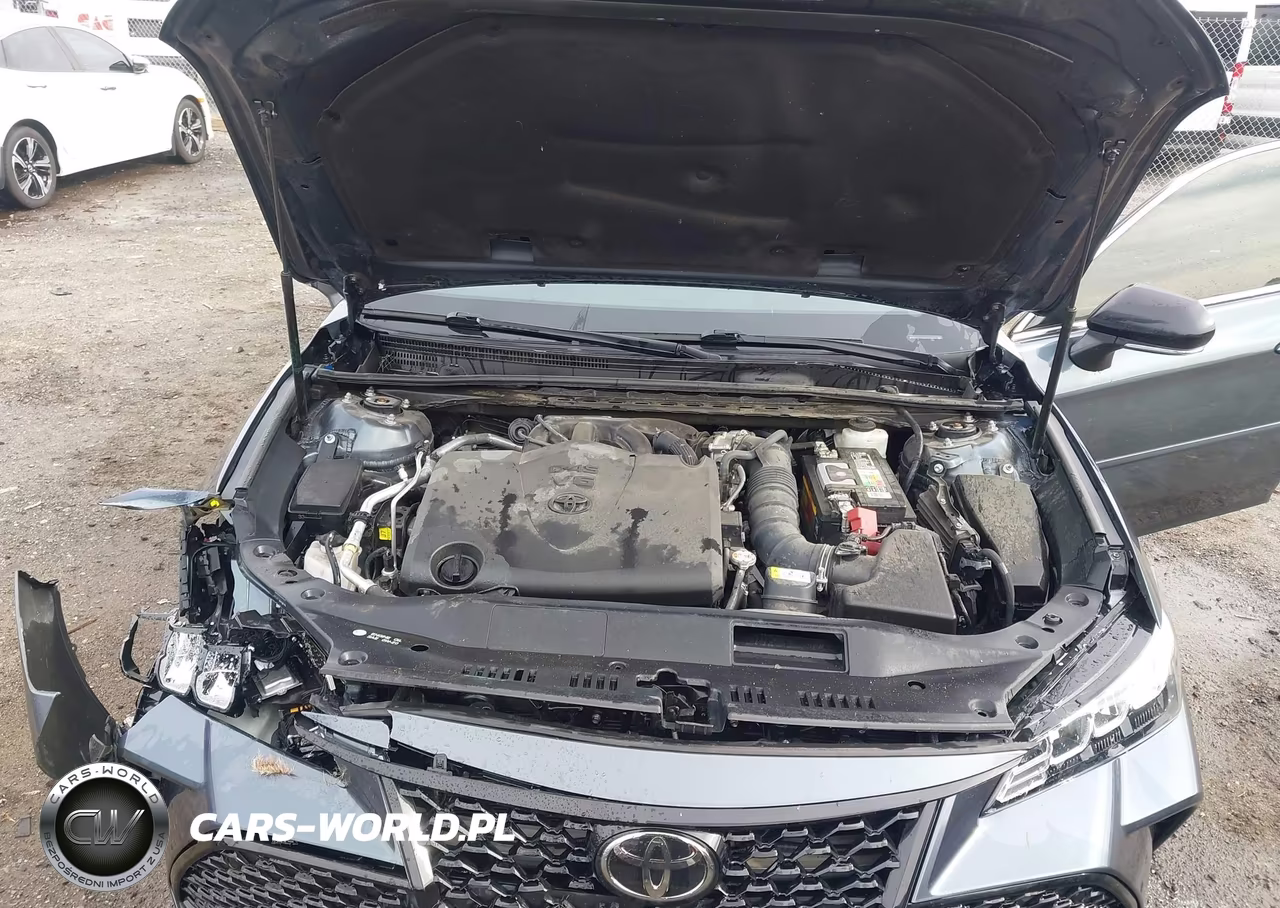 2019 Toyota Avalon Xse VIN:4T1BZ1FB8KU032490 - 10
