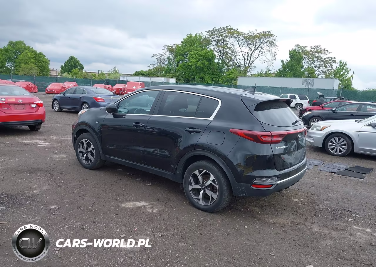 2022 Kia Sportage Lx VIN:KNDPMCAC0N7010541 - 3