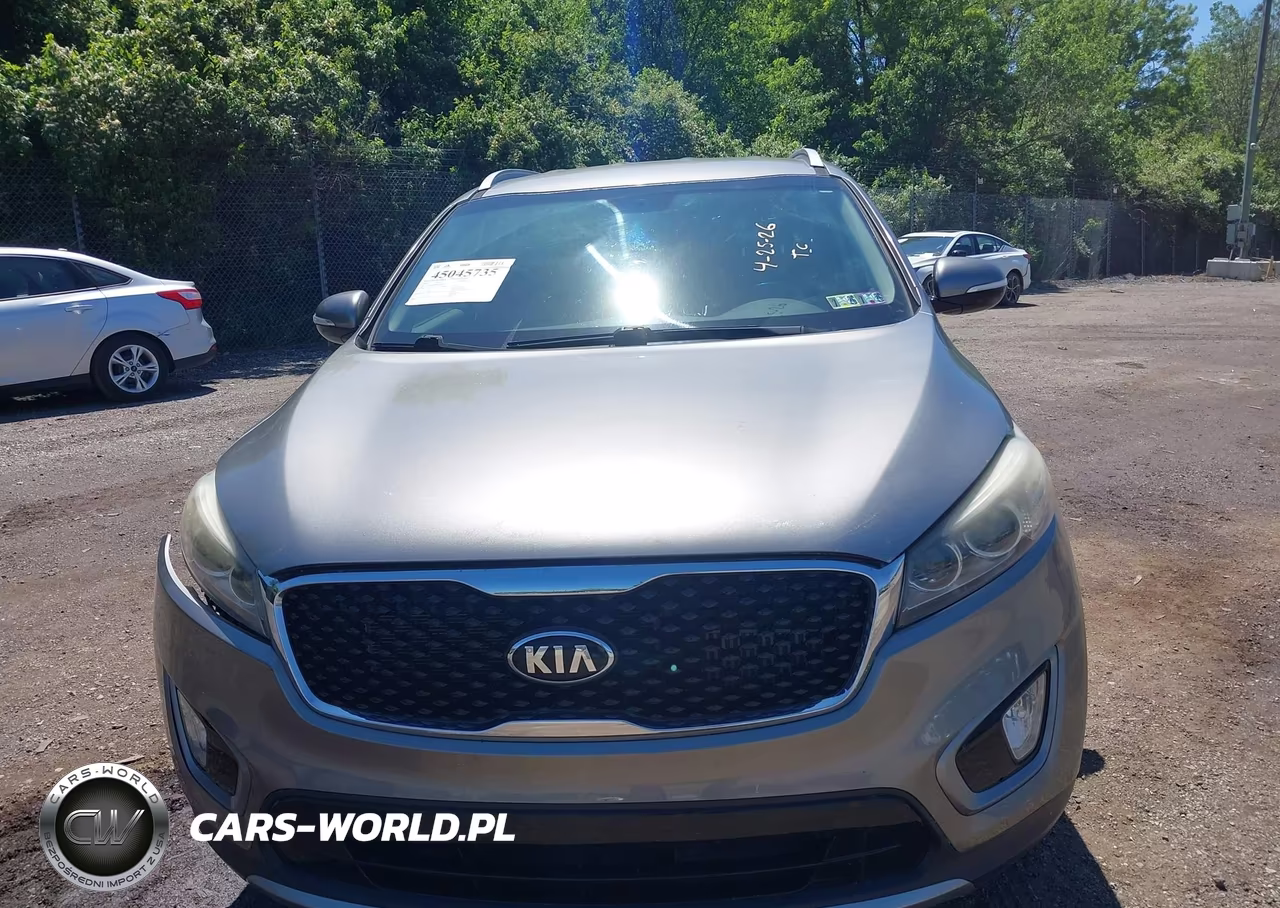 2016 Kia Sorento 2.0T Ex VIN:5XYPHDA18GG030633 - 13
