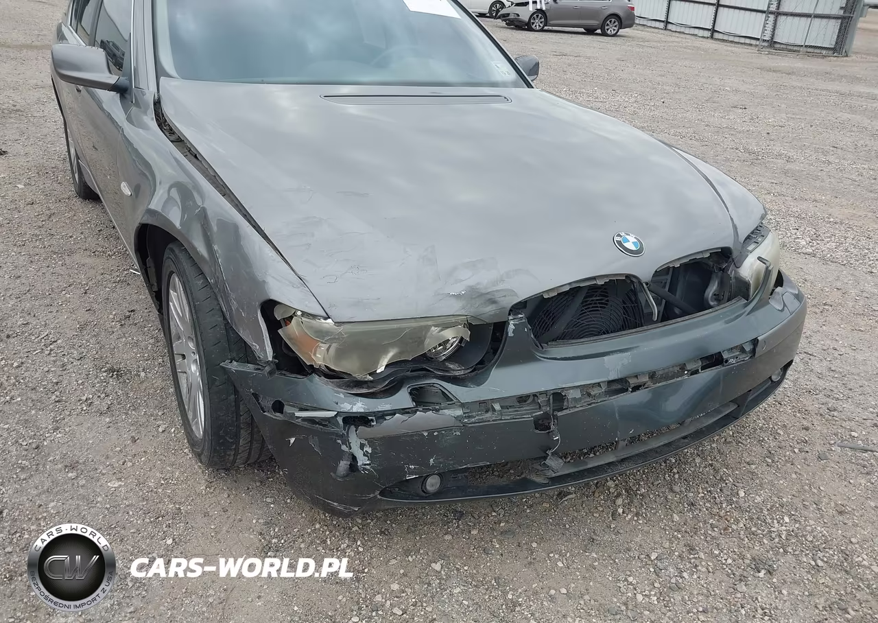 2002 BMW 745I VIN:WBAGL63432DP60861 - 6