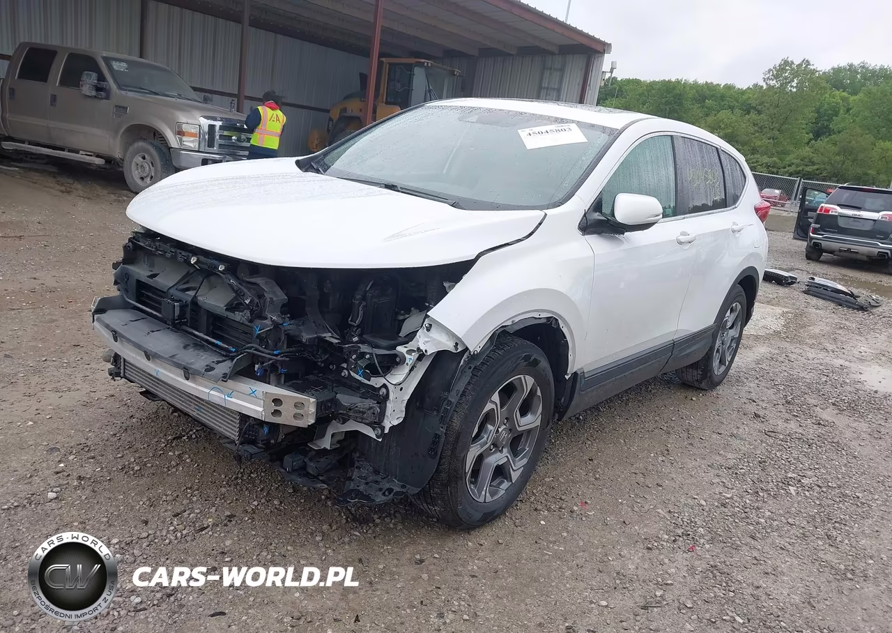 2019 Honda Cr-V Ex VIN:2HKRW2H52KH648334 - 2