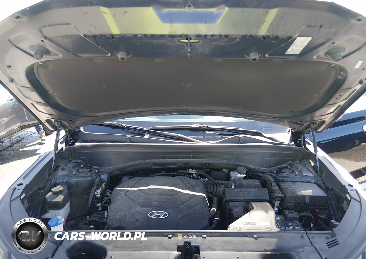 2023 Hyundai Palisade Sel VIN:KM8R2DGE6PU617105 - 10