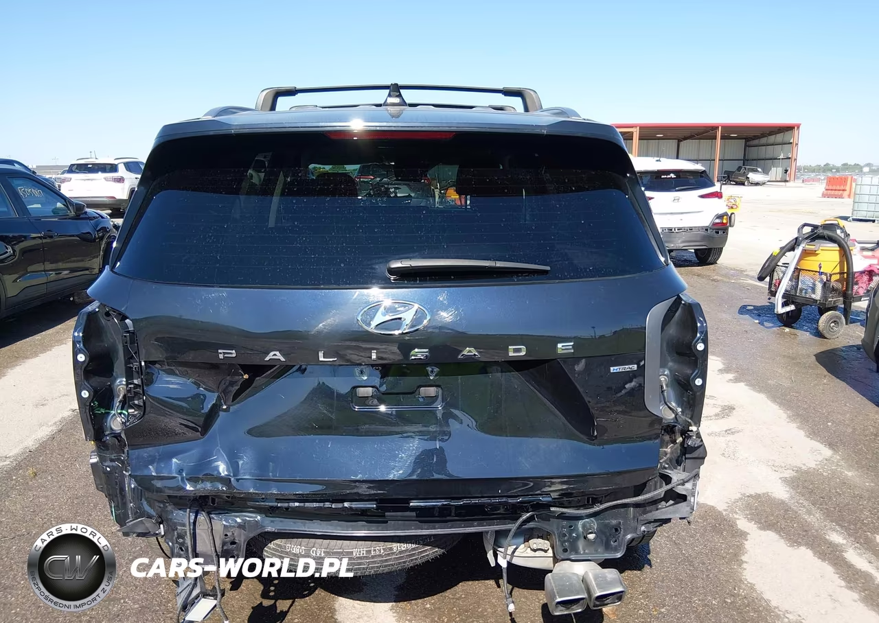 2023 Hyundai Palisade Sel VIN:KM8R2DGE6PU617105 - 17