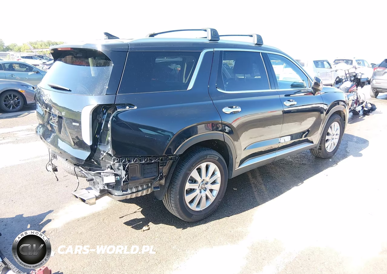 2023 Hyundai Palisade Sel VIN:KM8R2DGE6PU617105 - 4