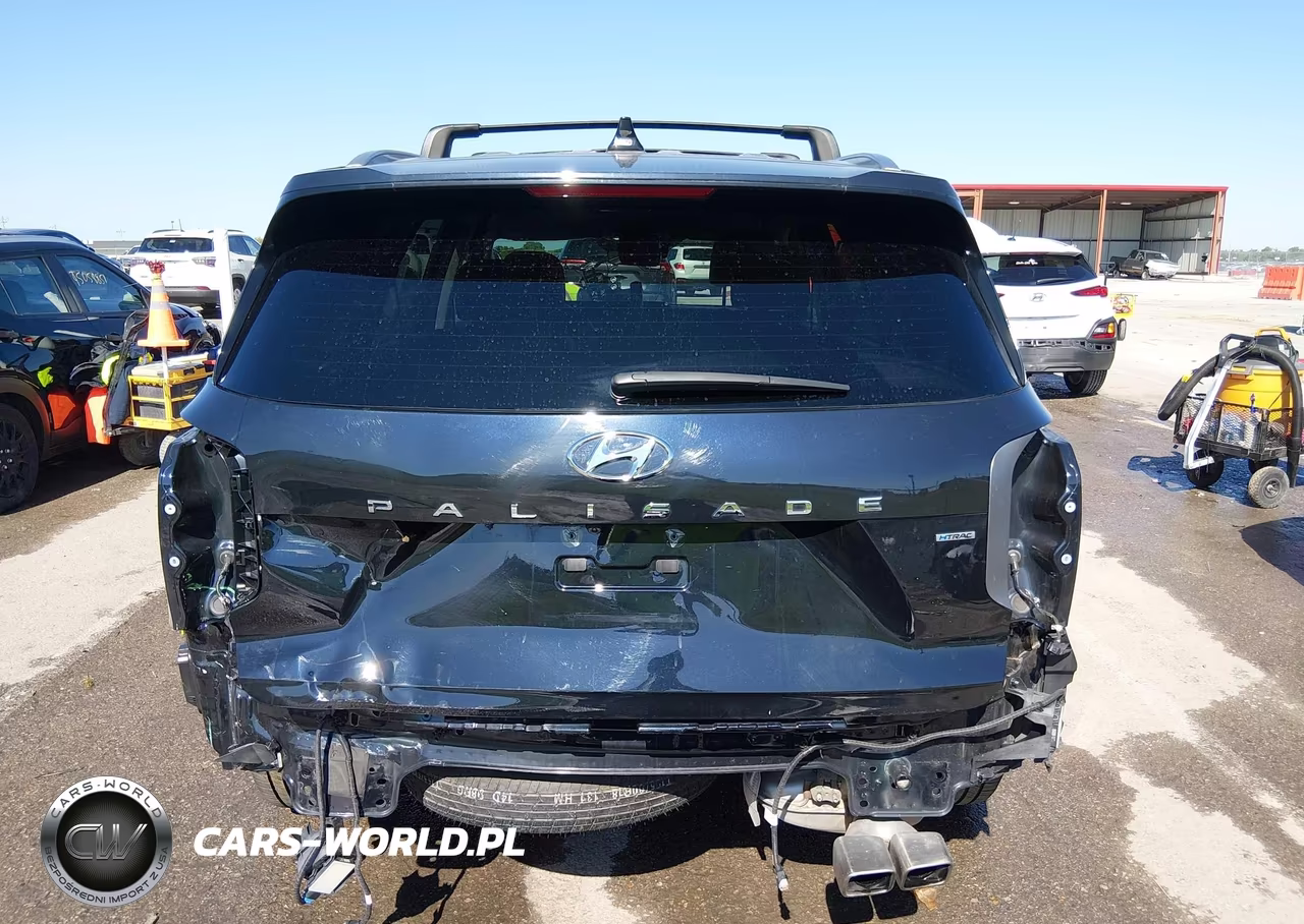2023 Hyundai Palisade Sel VIN:KM8R2DGE6PU617105 - 6