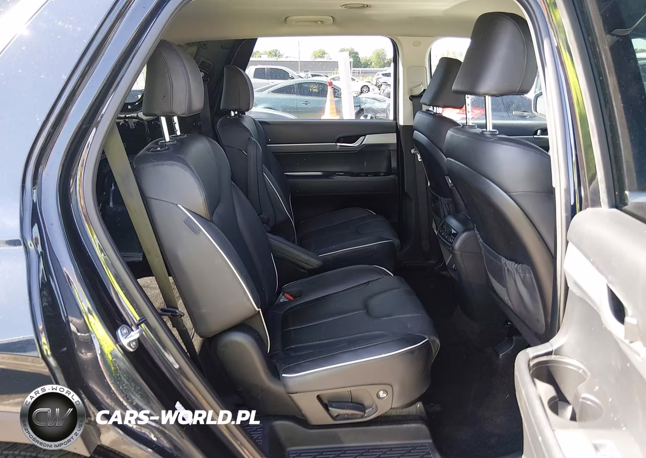 2023 Hyundai Palisade Sel VIN:KM8R2DGE6PU617105 - 8