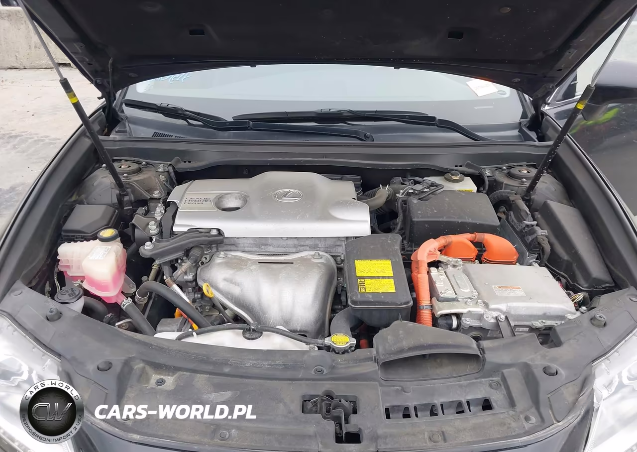 2014 Lexus Es 300H VIN:JTHBW1GG9E2046646 - 10
