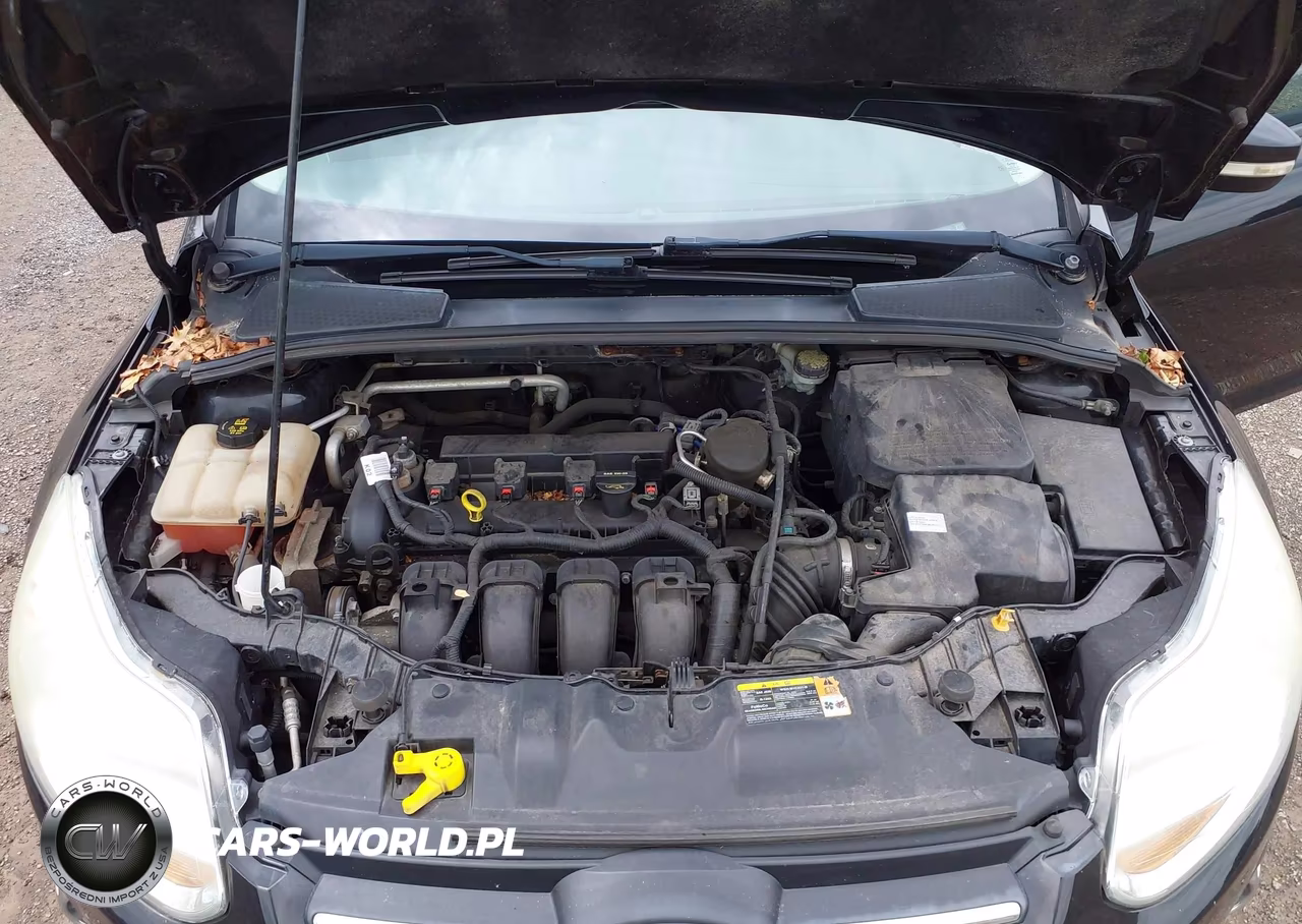 2014 Ford Focus Se VIN:1FADP3F2XEL240921 - 10