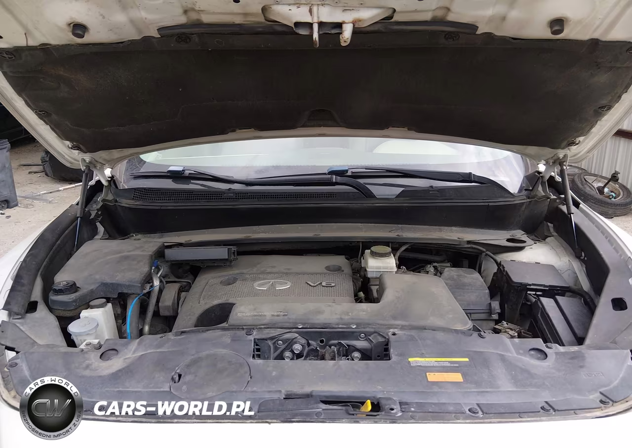 2014 Infiniti Qx60 VIN:5N1AL0MM0EC501884 - 10