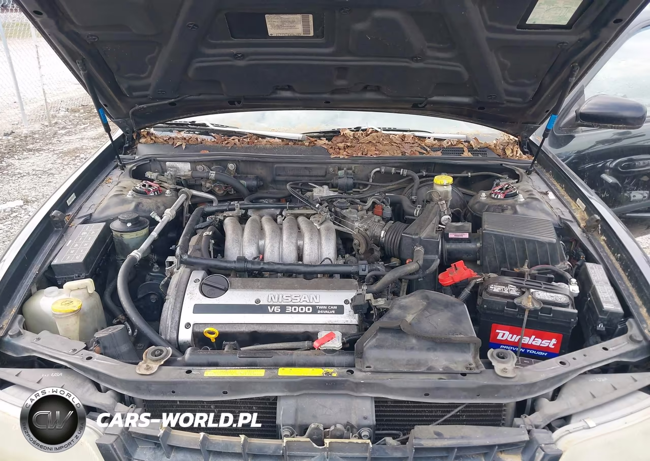 1997 Nissan Maxima Gle-Gxe-Se VIN:JN1CA21D6VT876832 - 10