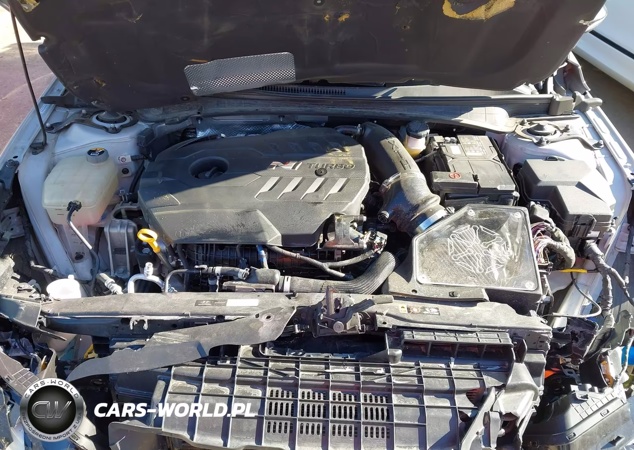 2023 Hyundai Elantra N VIN:KMHLW4AK8PU018909 - 10