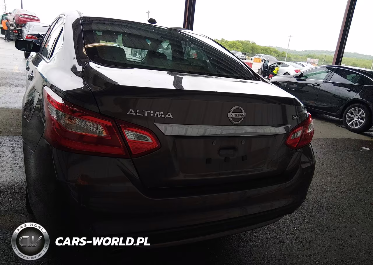 2016 Nissan Altima 2.5-2.5 S-2.5 Sl-2.5 Sr-2.5 Sv VIN:1N4AL3AP2GC191976 - 17