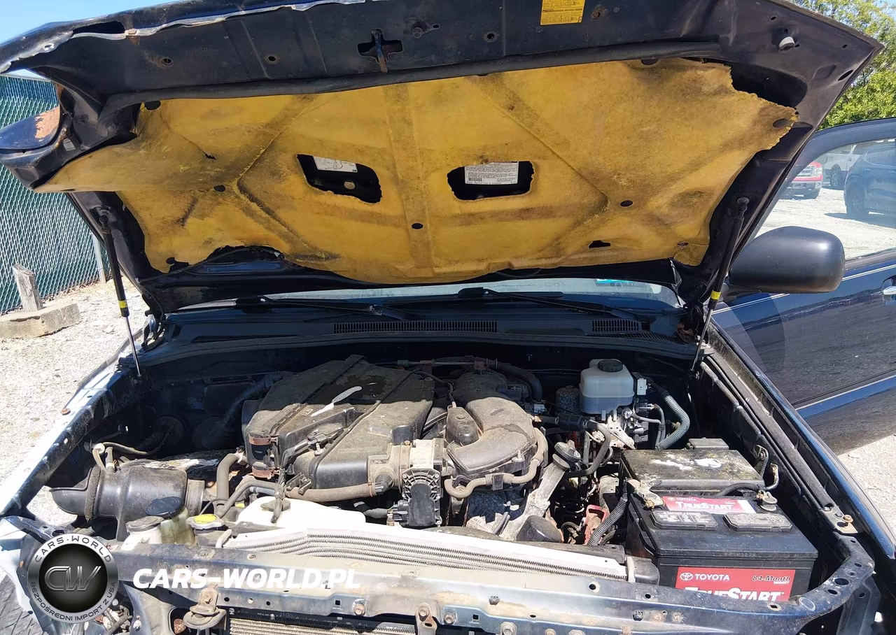 2006 Toyota 4Runner Sr5 VIN:JTEBU14R460087465 - 10
