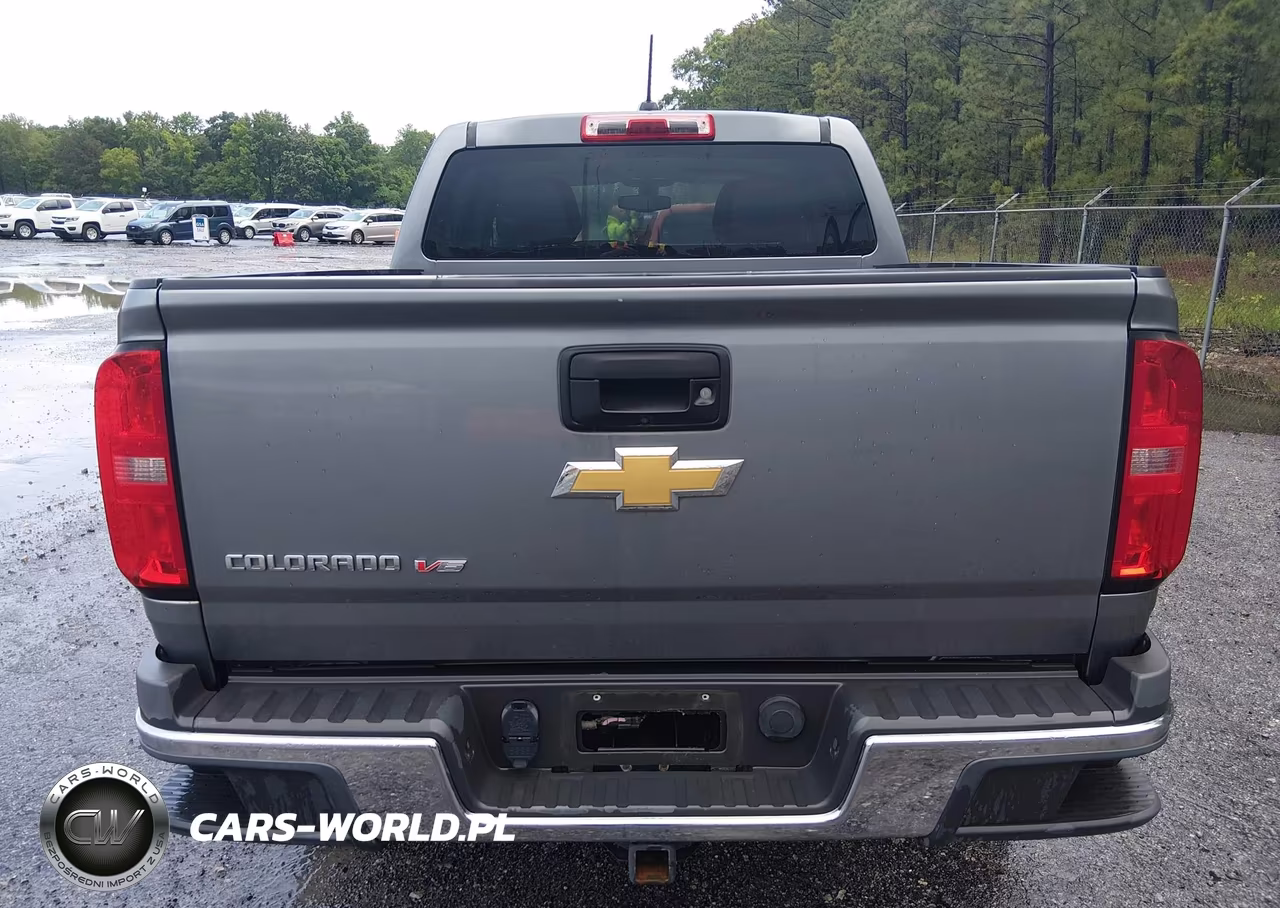 2019 Chevrolet Colorado Wt VIN:1GCGTBEN4K1100671 - 16