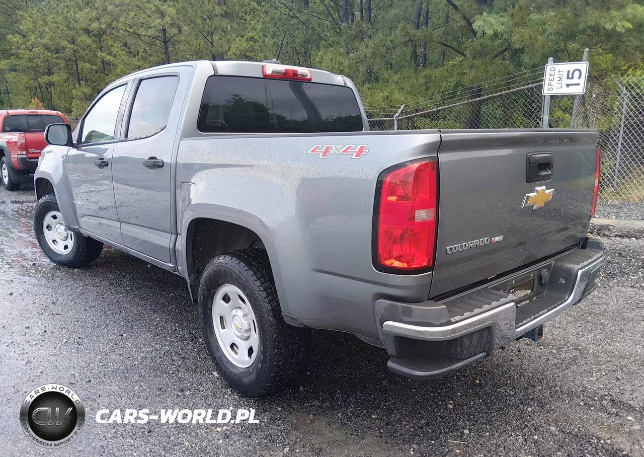 2019 Chevrolet Colorado Wt VIN:1GCGTBEN4K1100671 - 3