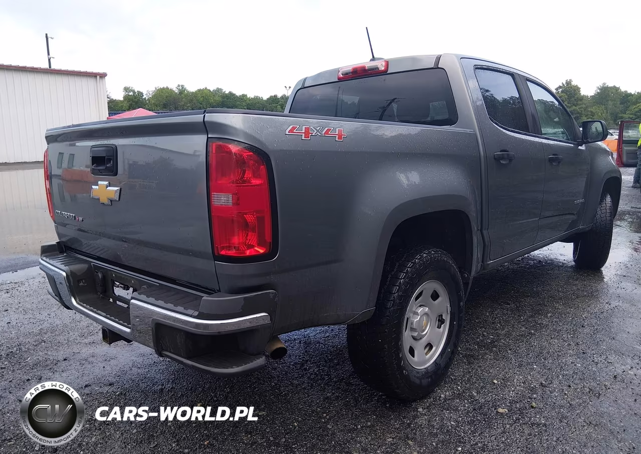 2019 Chevrolet Colorado Wt VIN:1GCGTBEN4K1100671 - 4