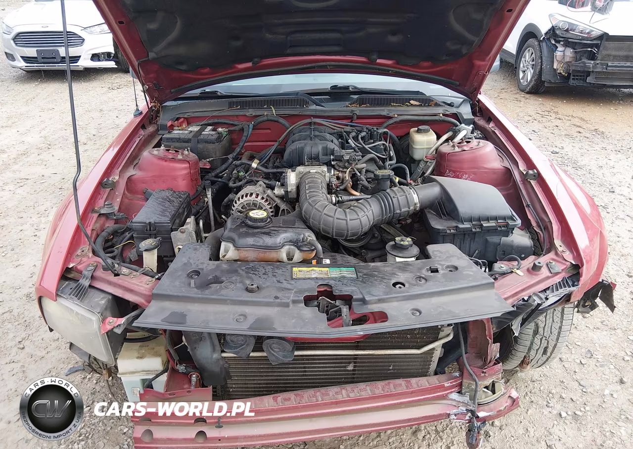 2007 Ford Mustang V6 Deluxe-V6 Premium VIN:1ZVHT84N775350654 - 10