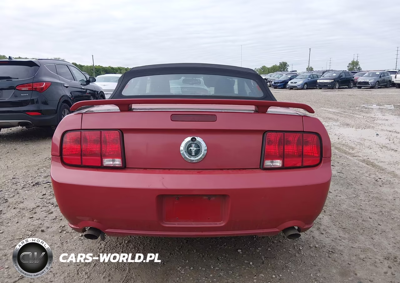 2007 Ford Mustang V6 Deluxe-V6 Premium VIN:1ZVHT84N775350654 - 17